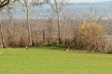 민박 Aux 3 Forêts