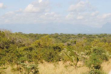 هتل Thornybush Waterside Lodge