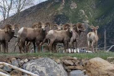 فندق Daven Haven Lodge & Cabins