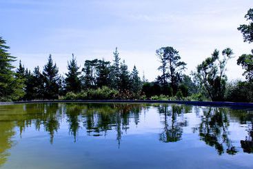 مبيت وإفطار Tarn Country House