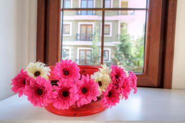 فندق Selection Premium