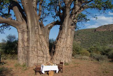 هتل Thabankulu Game Resort