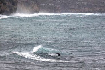 Hanson Bay Wildlife Sanctuary And Cabins