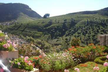 Onelovedale Blusalz Homes