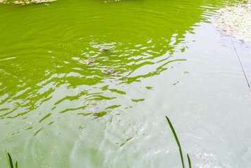 Yangpyeong Gireogi Pension
