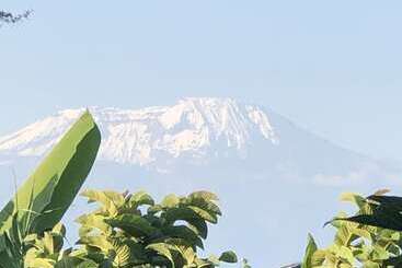 Отель Airport Planet Lodge At Kilimanjaro Airport