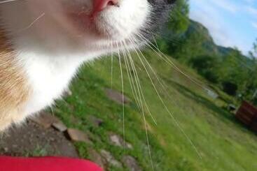 ペンション Room In Guest Room   Escape With Bike On Paradisiac Mountain