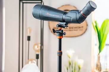 アパートホテル Polana Resort   Loftaffair Collection