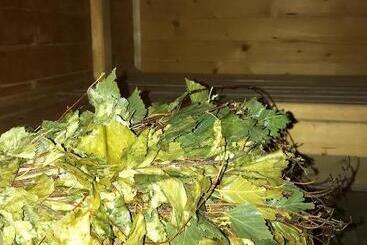 צימר Sirvis Apartamenty