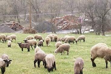 بنسيون K85 Komańcza Baza Noclegowa Wypadowa Bieszczady Beskid Niski