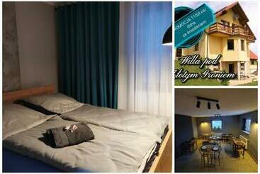 펜션 Willa Pod Złotym Groniem