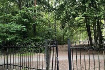 Apartament Jantarowe Zacisze Green