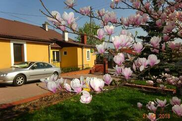 Agroturystyka Przy świerku