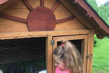 Apartamenty Kadłubek