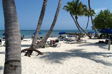 پانسیون The Beach Bungalow
