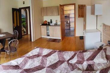 ペンション Noclegi Arenda