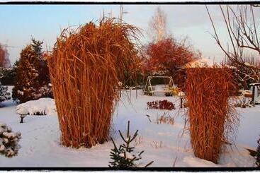 پانسیون Noclegi Pod Lasem