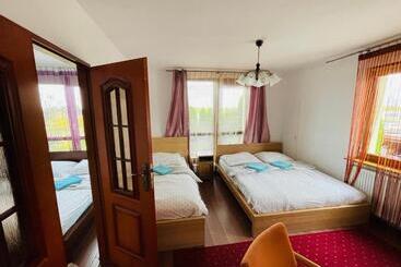 پانسیون Noclegi Airportpark