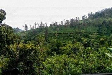 Pension Tea Pick View Ella