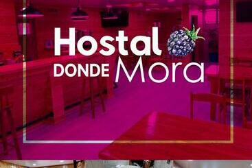 Общежитие Hostal