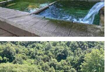 ベッドアンドブレックファースト Chambre Avec Balcon à Louer