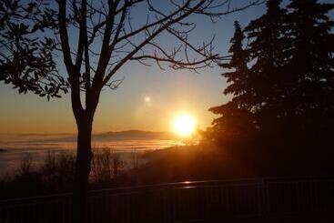 تختخواب و صبحانه Il Canto Dell Asino