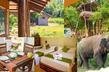 בית מלון כפרי Tiara Elephant Lodge