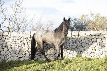 Пансион B&b Masseria Serri