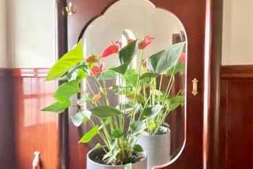 Spray B&b Sitio In Nazare, European Style