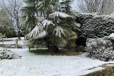 Armidale Cottages B&b