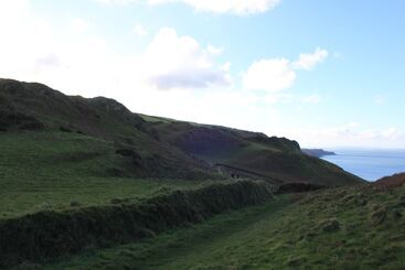 تختخواب و صبحانه The Olive Branch