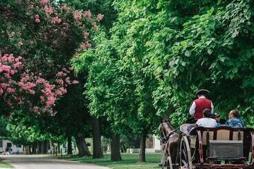 Cedars Of Williamsburg Bed & Breakfast