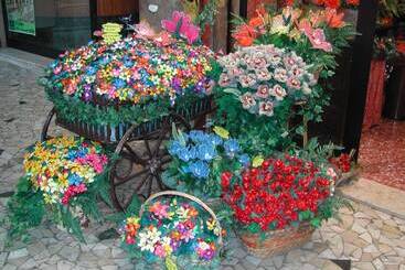 فندق Albergo Del Sole