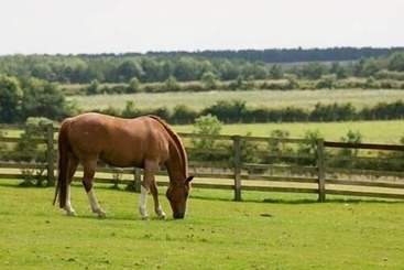 فندق The Cook And Barker Inn