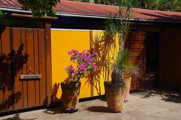 Pink Flamingo Resort