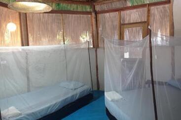 پانسیون Los Almendros Palomino Hostel