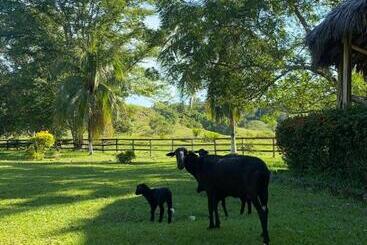 Selah Hotel Campestre