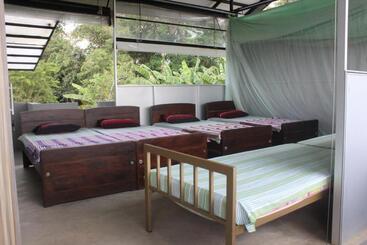 Forest Tree Top Holiday Resort