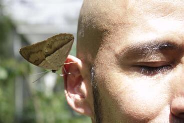 بنسيون Panchigua Hostel