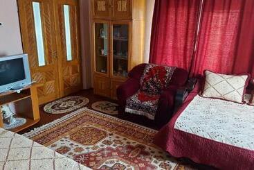 Пансион Casa De Vacanta La Ticu