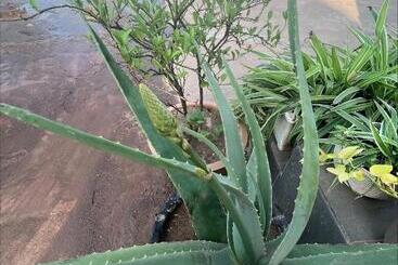 펜션 Thyda Koh Kong