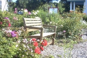 مبيت وإفطار Lucy's Place