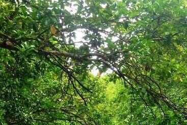 تختخواب و صبحانه Naveria Heights Lodge