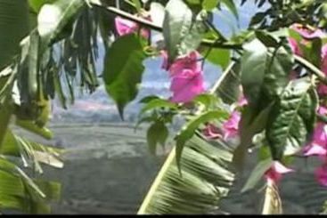 مبيت وإفطار Vina Romantica