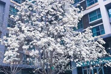 Beijing Seasons Park Apartment