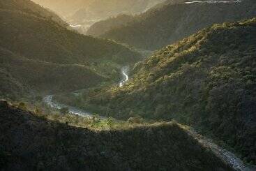 فندق Moksha Himalaya Spa Resort