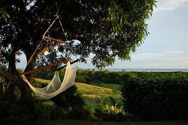 Palmlea Farms Lodge And Bures Villas