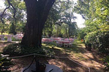 The Elms Bed And Breakfast