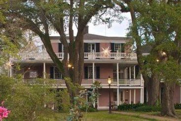 The Elms Bed And Breakfast