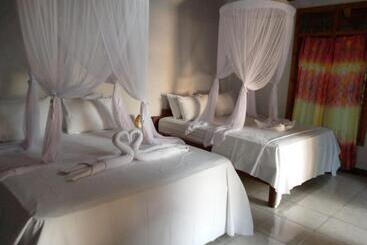 هاستل Cassabonelly